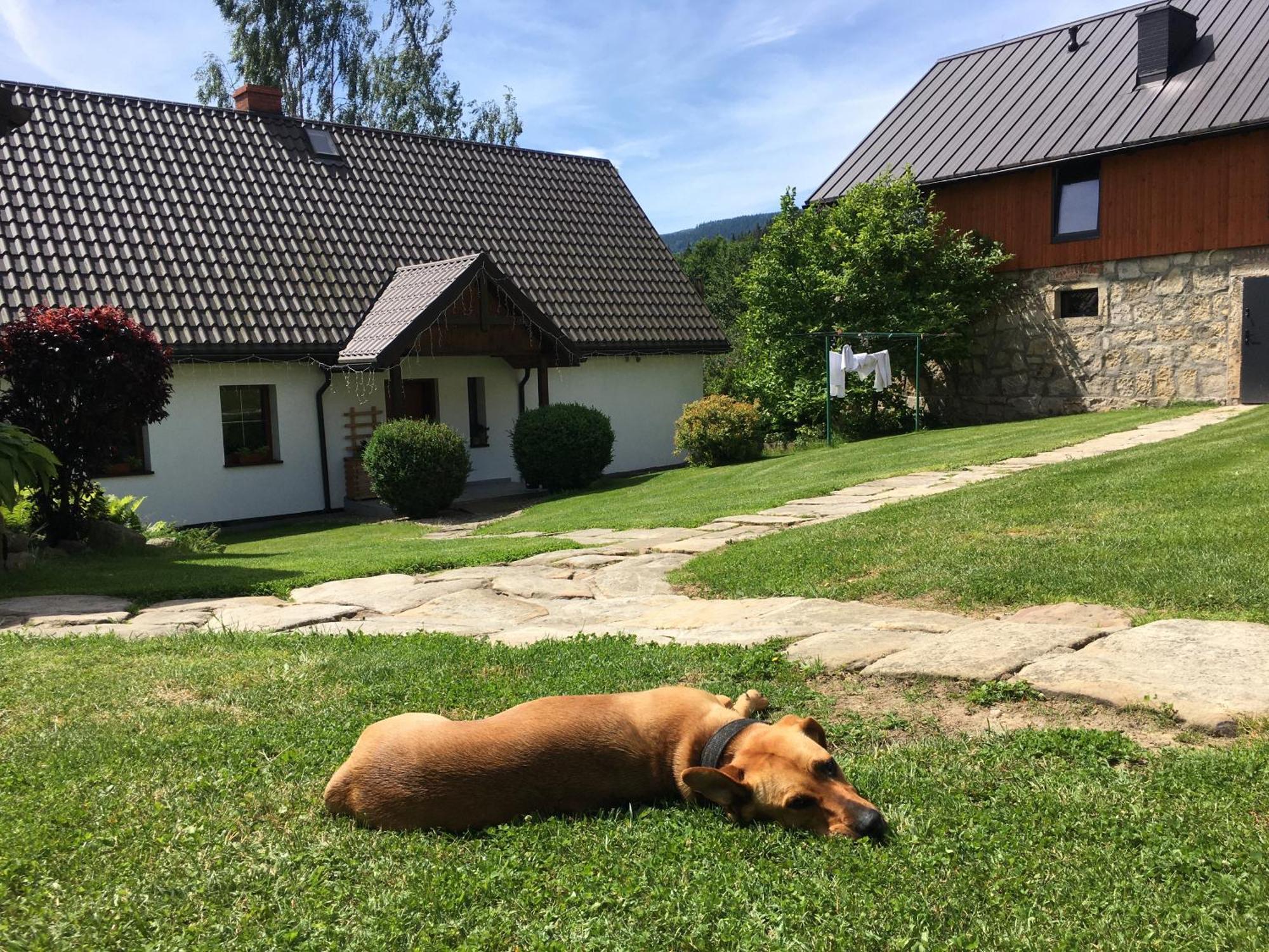 Agroturystyka Ostoja Polanica-Zdrój Eksteriør billede